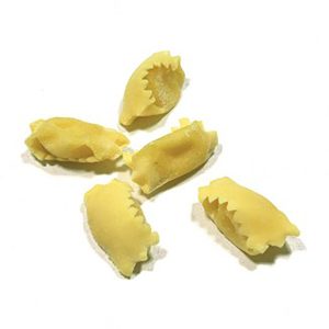 RAVIOLI DEL PLIN WITH CHEESE FONDUE AND TRUFFLE - 500g