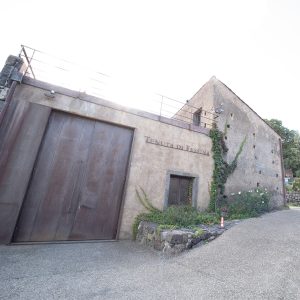 Tenuta di Fessina 3 web